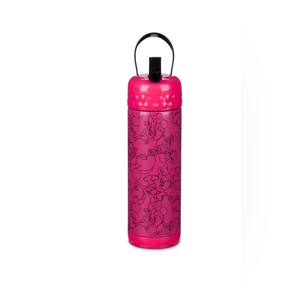 Disney Mickey and Minnie Stainless Steel Water Bottle with Built-In Straw New